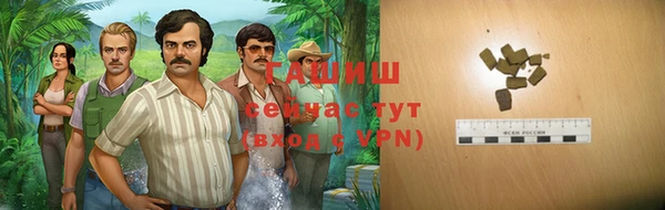 индика Баксан