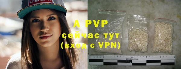 индика Баксан