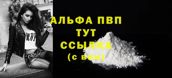 индика Баксан