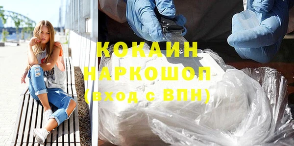 индика Баксан