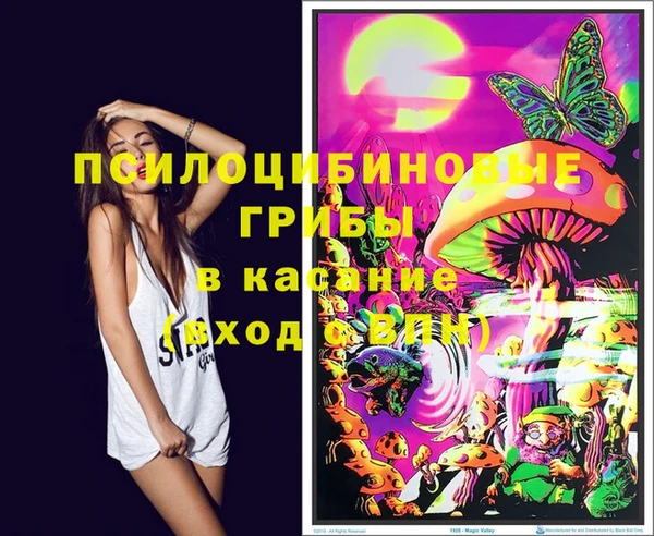 индика Баксан
