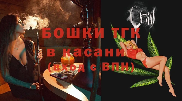 индика Баксан